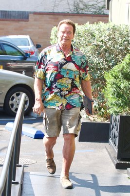 Arnold Schwarzenegger puzzle 3060414