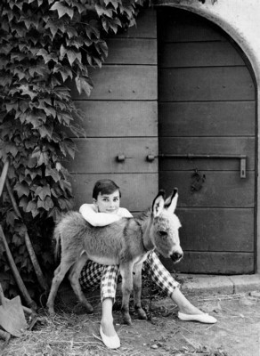 Audrey Hepburn posters