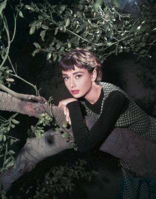 Audrey Hepburn posters