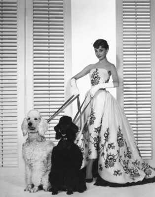 Audrey Hepburn posters