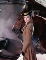 Audrey Hepburn longsleeve t-shirt #1526447