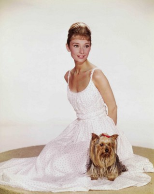 Audrey Hepburn posters