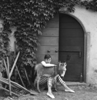 Audrey Hepburn hoodie #1526460