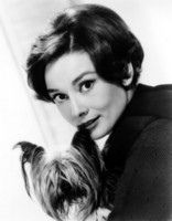 Audrey Hepburn tote bag #G300577