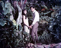 Audrey Hepburn hoodie #2688942