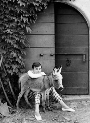 Audrey Hepburn posters