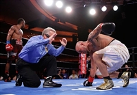 Austin Trout hoodie #3596022