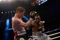 Austin Trout hoodie #3596027
