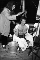 Ava Gardner longsleeve t-shirt #1526613