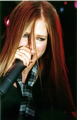 Avril Lavigne Poster 1441136