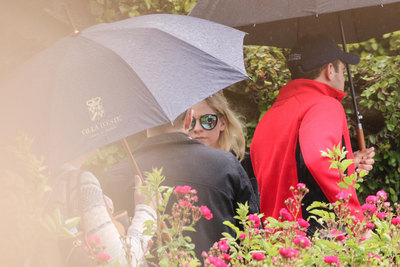 Avril Lavigne posters