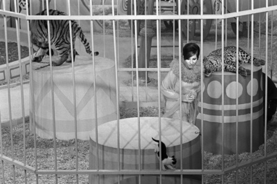 Barbra Streisand posters