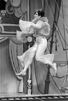 Barbra Streisand longsleeve t-shirt #2604797