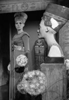 Barbra Streisand t-shirt #2689435