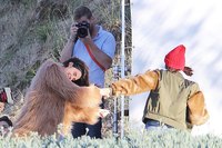 Bella Hadid Sweatshirt #2725093