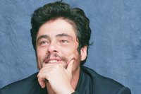 Benicio Del Toro Sweatshirt #2275817