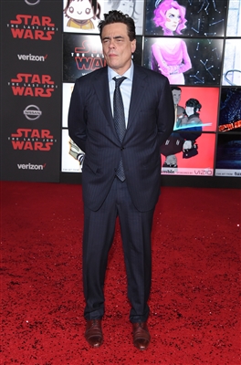 Benicio Del Toro posters