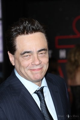 Benicio Del Toro posters