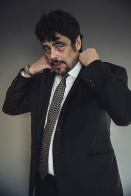 Benicio Del Toro posters