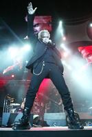 Billy Idol hoodie #2648759