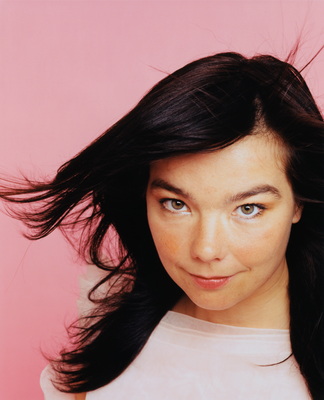 Bjork posters