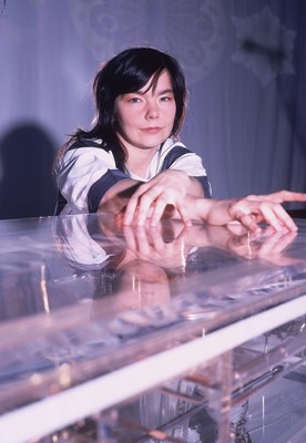 Bjork posters