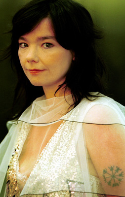 Bjork posters