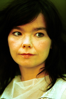 Bjork posters