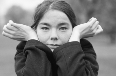 Bjork posters