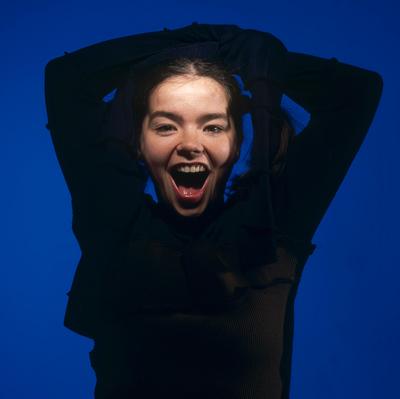 Bjork posters