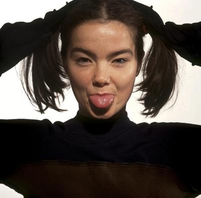 Bjork posters