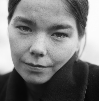 Bjork posters