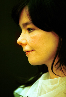 Bjork posters