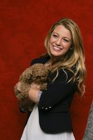 Blake Lively magic mug #G646964