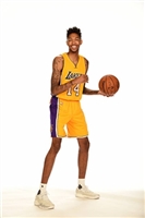 Brandon Ingram mug #G1651307