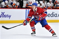 Brendan Gallagher mug #G1808708