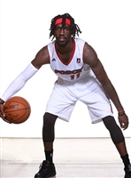 Briante Weber tote bag #G1699303