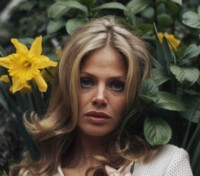 Britt Ekland hoodie #1503615