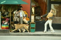 Brittany Murphy t-shirt #1311040