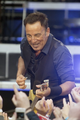 Bruce Springsteen puzzle 2519119
