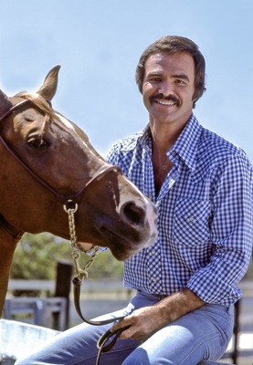 Burt Reynolds posters