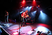 Bush tote bag #G787242