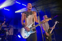 Bush Tank Top #2642527