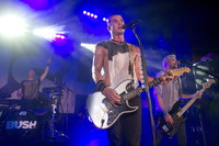 Bush Tank Top #2642528