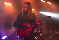 Bush Tank Top #2642541