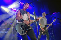 Bush Tank Top #2642543