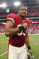 Calais Campbell hoodie #3962851