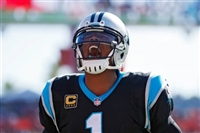 Cam Newton mug #G1720911