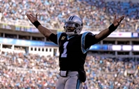 Cam Newton mug #G1720998