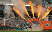 Cameron Wake Sweatshirt #3478191